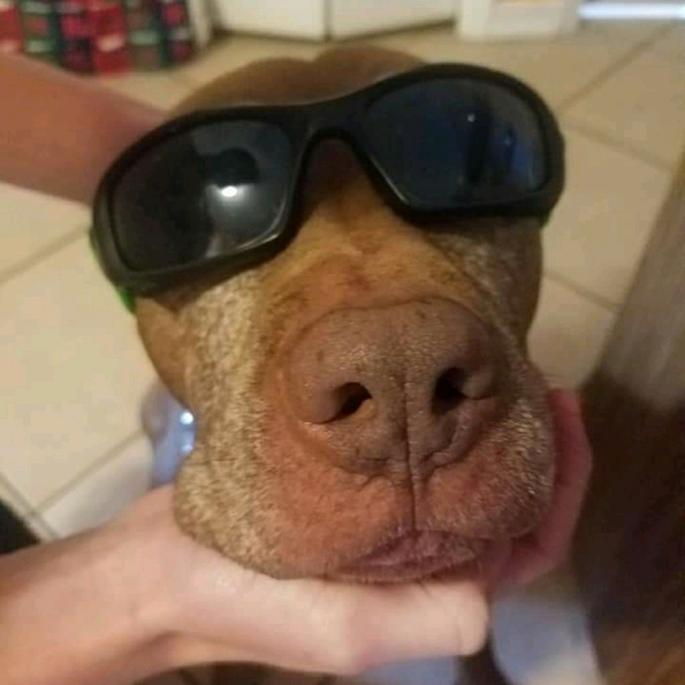 Meet your Posher, Ashlyn